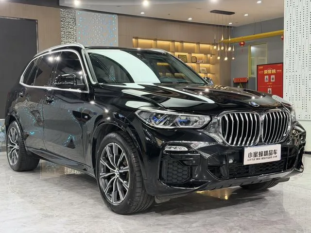 BMW X5 2021 xDrive40i M Sports suit exterior photo 6
