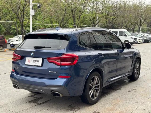 BMW X3 2019 xDrive30i Líder M Conjunto deportivo exterior foto 6 BMW X3 2019 xDrive30i Líder M Conjunto deportivo exterior foto 6