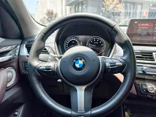 BMW X1 2020 xDrive25Li Premium Class interior photo 16