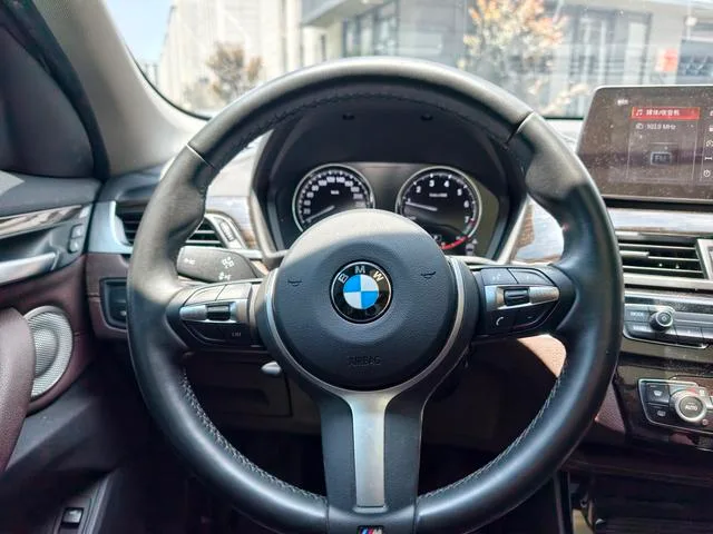 BMW X1 2020 xDrive25Li Premium Class interior photo 16