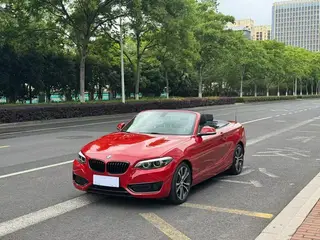 BMW 2 Series 2019 225i Кабриолет купе Спортивный дизайн набор