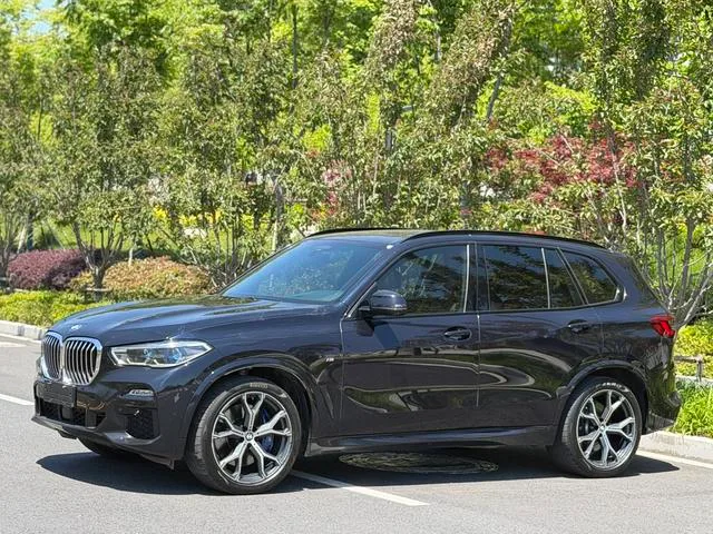 BMW X5 2019 xDrive40i Type de luxe M Ensemble de sport extérieur photo 1 BMW X5 2019 xDrive40i Type de luxe M Ensemble de sport extérieur photo 1