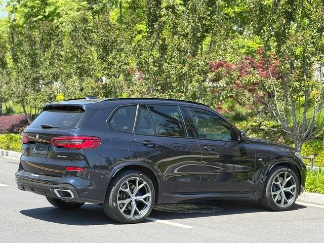 BMW X5 2019 xDrive40i Type de luxe M Ensemble de sport intérieur photo 9 BMW X5 2019 xDrive40i Type de luxe M Ensemble de sport intérieur photo 9