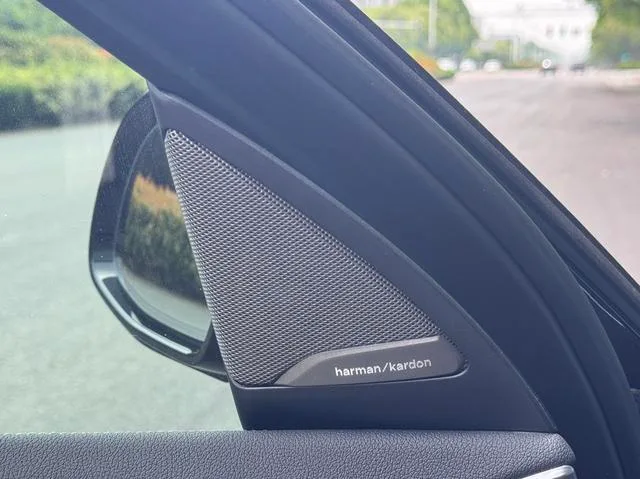 BMW X4 M 2019 X4 M Versión Thunder interior foto 14 BMW X4 M 2019 X4 M Versión Thunder interior foto 14