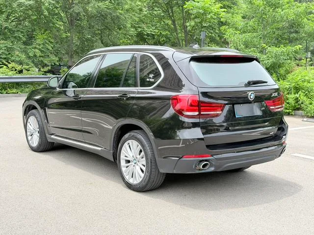BMW X5 2014 xDrive35i Luxury type exterior photo 6