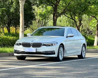 BMW 5 Series 2019 530Li Líder Traje de lujo
