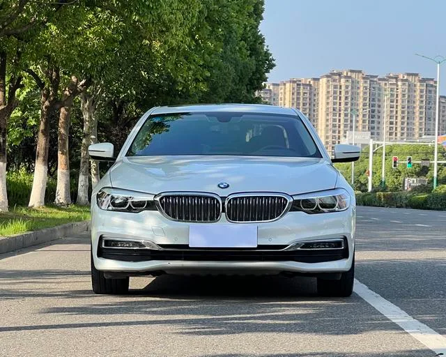 BMW 5 Series 2019 530Li Líder Traje de lujo exterior foto 2 BMW 5 Series 2019 530Li Líder Traje de lujo exterior foto 2