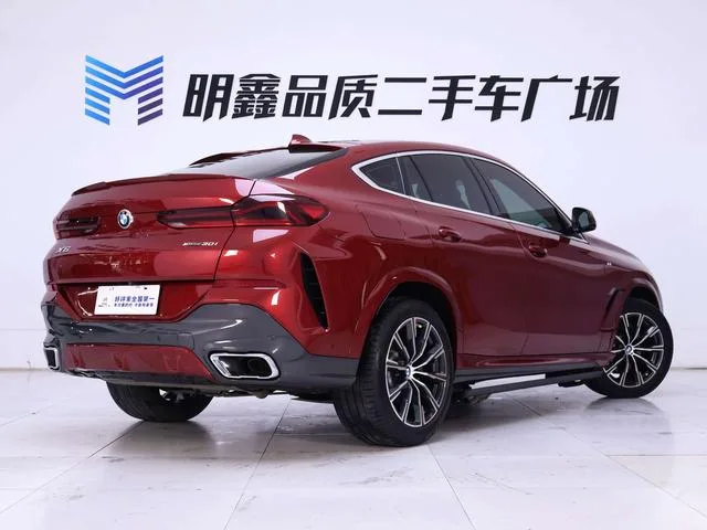 BMW X6 2020 xDrive30i M Sports suit exterior photo 8 BMW X6 2020 xDrive30i M Sports suit exterior photo 8