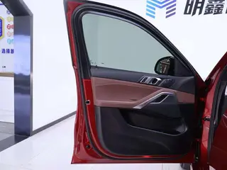 BMW X6 2020 xDrive30i M Sports suit interior photo 19 BMW X6 2020 xDrive30i M Sports suit interior photo 19