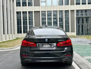 BMW 5 Series 2018 Restyling 530Li Premium Class M Sports suit interior photo 15 BMW 5 Series 2018 Restyling 530Li Premium Class M Sports suit interior photo 15
