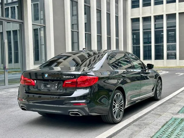 BMW 5 Series 2018 Restyling 530Li Premium Class M Sports suit interior photo 16 BMW 5 Series 2018 Restyling 530Li Premium Class M Sports suit interior photo 16