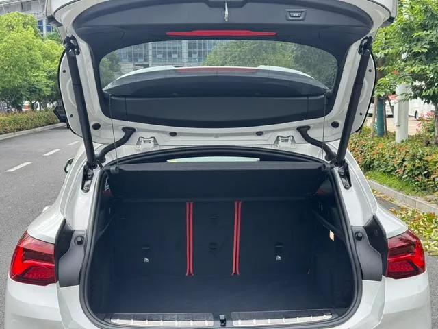 BMW X2 2021 sDrive25i Лидирующий M Спортивный костюм интерьер фото 17 BMW X2 2021 sDrive25i Лидирующий M Спортивный костюм интерьер фото 17