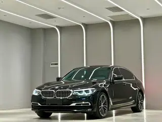 BMW 5 Series 2020 530Li Administrative Luxury Set