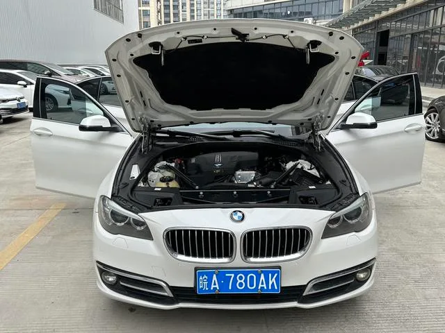 BMW 5 Series 2017 520Li Estilo elegante exterior foto 7 BMW 5 Series 2017 520Li Estilo elegante exterior foto 7
