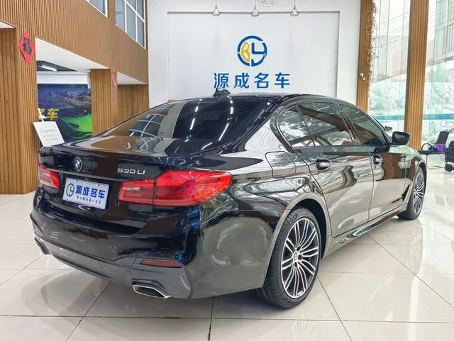 BMW 5 Series 2018 530Li Leading Type M Sports suit exterior photo 6 BMW 5 Series 2018 530Li Leading Type M Sports suit exterior photo 6