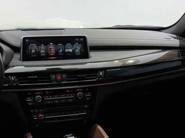 BMW X6 2017 xDrive35i De lujo interior foto 11 BMW X6 2017 xDrive35i De lujo interior foto 11