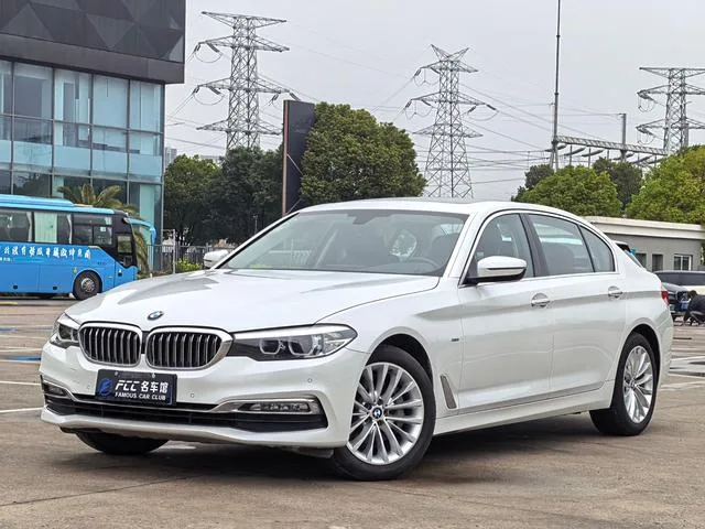 BMW 5 Series 2018 Модификация 530Li Лидирующий Роскошный набор экстерьер фото 1 BMW 5 Series 2018 Модификация 530Li Лидирующий Роскошный набор экстерьер фото 1