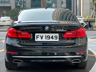 BMW 5 Series 2018 Модификация 530Li Премиум-класса Роскошный набор экстерьер фото 8 BMW 5 Series 2018 Модификация 530Li Премиум-класса Роскошный набор экстерьер фото 8