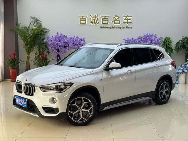BMW X1 2019 xDrive20Li Premium Class exterior photo 1 BMW X1 2019 xDrive20Li Premium Class exterior photo 1