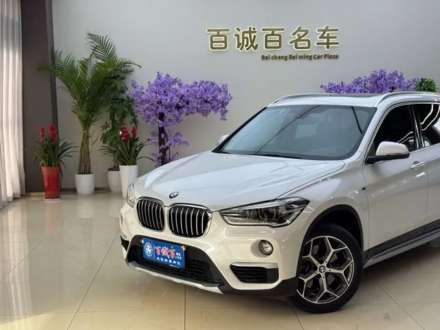 BMW X1 2019 xDrive20Li Premium Class exterior photo 2 BMW X1 2019 xDrive20Li Premium Class exterior photo 2
