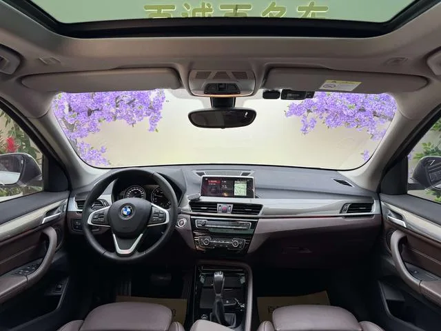 BMW X1 2019 xDrive20Li Premium Class interior photo 13 BMW X1 2019 xDrive20Li Premium Class interior photo 13