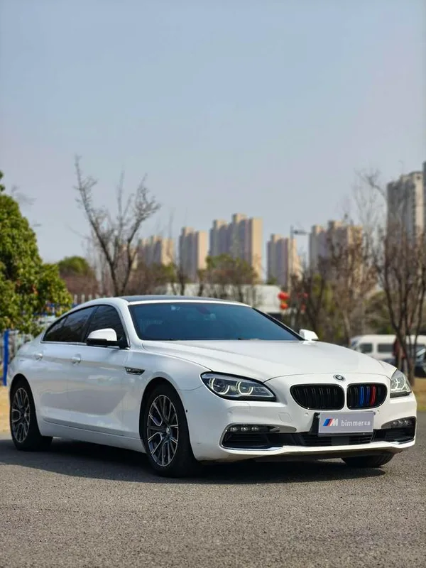 BMW 6 Series 2016 640i xDrive Gran Coupe интерьер фото 12 BMW 6 Series 2016 640i xDrive Gran Coupe интерьер фото 12