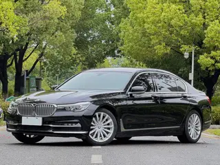 BMW 7 Series 2018 730Li Líder Traje de excelencia