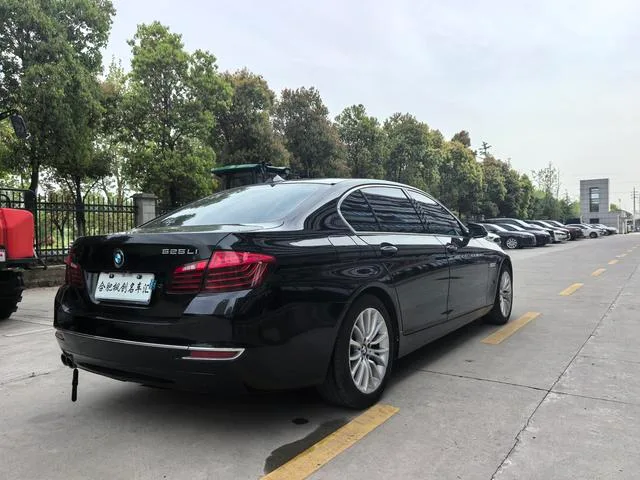 BMW 5 Series 2017 525Li Set de diseño de lujo interior foto 10 BMW 5 Series 2017 525Li Set de diseño de lujo interior foto 10
