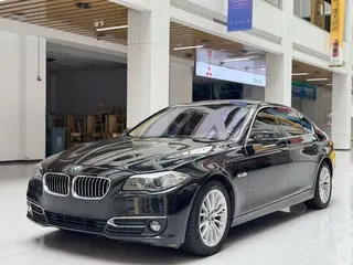 BMW 5 Series 2017 525Li Set de diseño de lujo