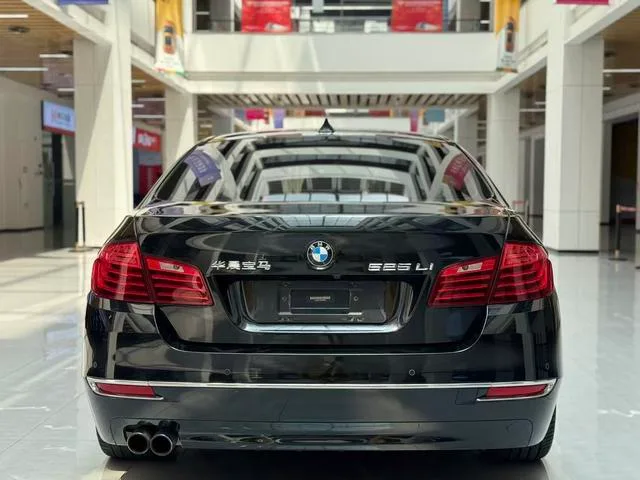 BMW 5 Series 2017 525Li Set de diseño de lujo exterior foto 6 BMW 5 Series 2017 525Li Set de diseño de lujo exterior foto 6