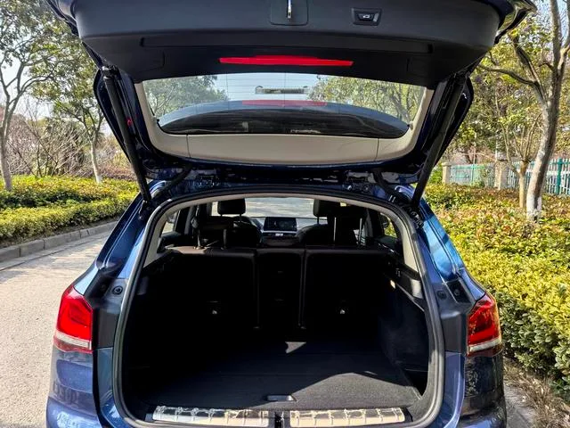 BMW X1 2020 sDrive20Li Estilo de moda interior foto 12 BMW X1 2020 sDrive20Li Estilo de moda interior foto 12