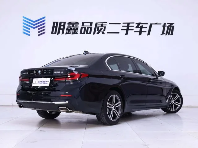 BMW 5 Series 2021 530Li Leading Type Luxury Set exterior photo 8 BMW 5 Series 2021 530Li Leading Type Luxury Set exterior photo 8