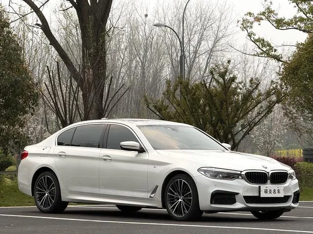 BMW 5 Series 2020 530Li xDrive M Conjunto deportivo exterior foto 3 BMW 5 Series 2020 530Li xDrive M Conjunto deportivo exterior foto 3