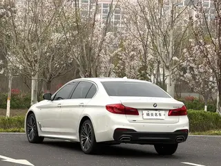 BMW 5 Series 2020 530Li xDrive M Conjunto deportivo interior foto 9 BMW 5 Series 2020 530Li xDrive M Conjunto deportivo interior foto 9