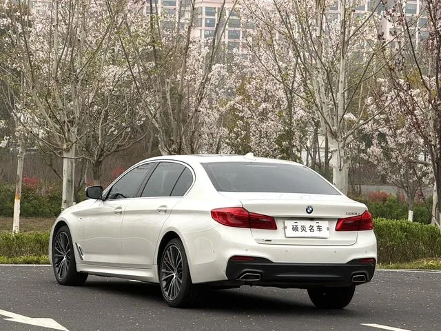 BMW 5 Series 2020 530Li xDrive M Conjunto deportivo interior foto 9 BMW 5 Series 2020 530Li xDrive M Conjunto deportivo interior foto 9