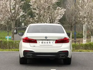 BMW 5 Series 2020 530Li xDrive M Conjunto deportivo interior foto 10 BMW 5 Series 2020 530Li xDrive M Conjunto deportivo interior foto 10