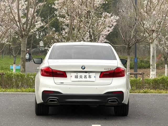 BMW 5 Series 2020 530Li xDrive M Conjunto deportivo interior foto 10 BMW 5 Series 2020 530Li xDrive M Conjunto deportivo interior foto 10