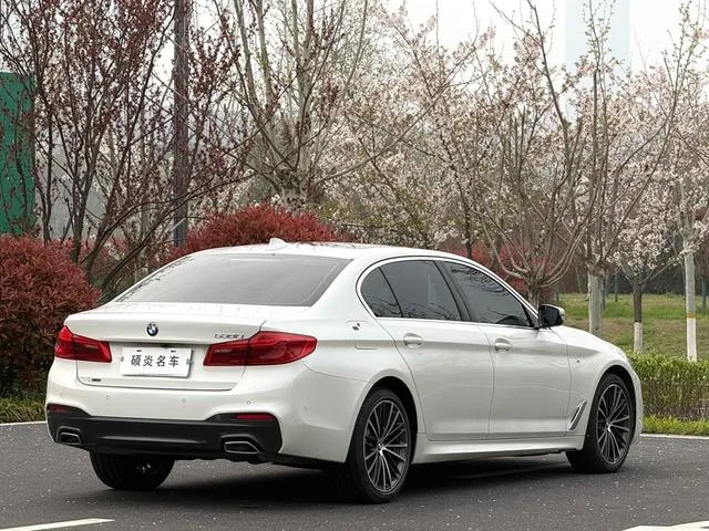 BMW 5 Series 2020 530Li xDrive M Conjunto deportivo interior foto 11 BMW 5 Series 2020 530Li xDrive M Conjunto deportivo interior foto 11