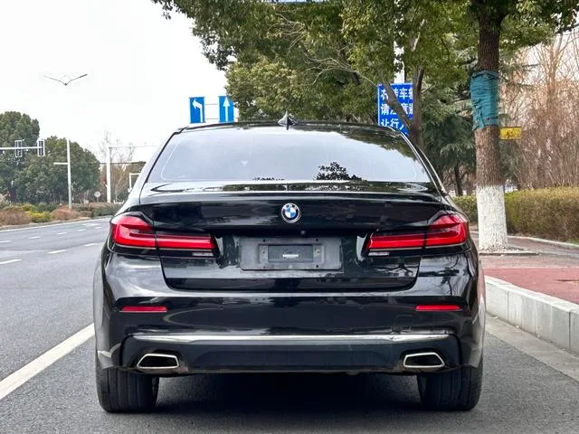 BMW 5 Series 2021 Restyling 530Li Premium Class Luxury Set interior photo 19 BMW 5 Series 2021 Restyling 530Li Premium Class Luxury Set interior photo 19