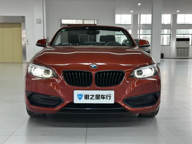 BMW 2 Series 2019 225i Convertible Coupe Sports Design Suit exterior photo 2 BMW 2 Series 2019 225i Convertible Coupe Sports Design Suit exterior photo 2
