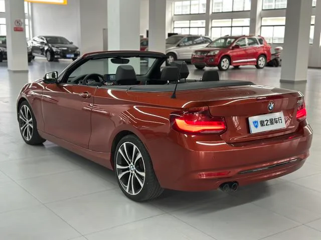 BMW 2 Series 2019 225i Convertible Coupe Sports Design Suit exterior photo 6 BMW 2 Series 2019 225i Convertible Coupe Sports Design Suit exterior photo 6