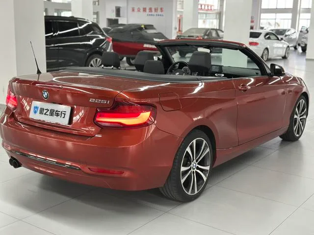 BMW 2 Series 2019 225i Convertible Coupe Sports Design Suit interior photo 8 BMW 2 Series 2019 225i Convertible Coupe Sports Design Suit interior photo 8