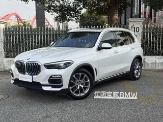 BMW X5 2020 xDrive30i X Набор дизайна