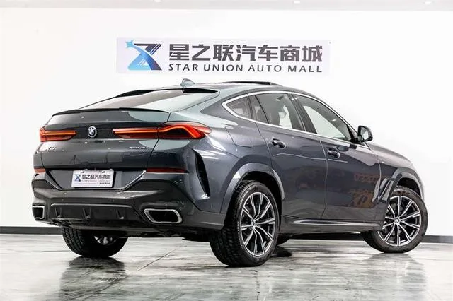BMW X6 2021 xDrive30i M Conjunto deportivo exterior foto 6 BMW X6 2021 xDrive30i M Conjunto deportivo exterior foto 6