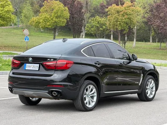 BMW X6 2015 xDrive28i interior photo 19 BMW X6 2015 xDrive28i interior photo 19