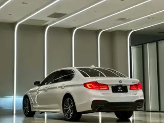 BMW 5 Series 2020 530Li Tipo de lujo M Conjunto deportivo exterior foto 4 BMW 5 Series 2020 530Li Tipo de lujo M Conjunto deportivo exterior foto 4
