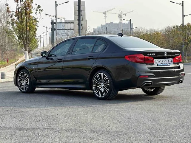 BMW 5 Series 2019 530Li Leading Type M Sports suit interior photo 19 BMW 5 Series 2019 530Li Leading Type M Sports suit interior photo 19