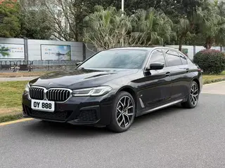 BMW 5 Series 2022 Reforma 530Li Tipo de lujo M Conjunto deportivo