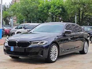 BMW 5 Series 2021 530Li Premium Class Luxury Set