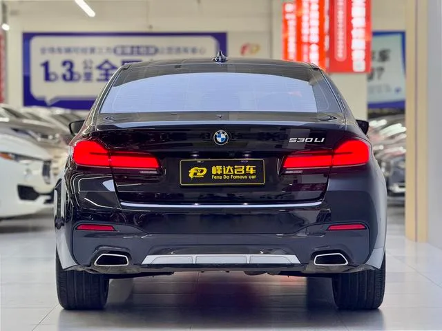 BMW 5 Series 2023 530Li Tipo de lujo M Conjunto deportivo interior foto 16